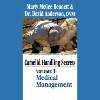 DVD: CAMELID HANDLING SECRECTS, VOLUME 1: MEDICAL MANAGEMENT - AUF ENGLISCH