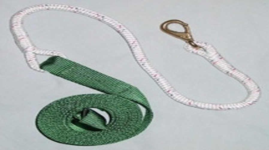 Trainingsführleine B2Bblau