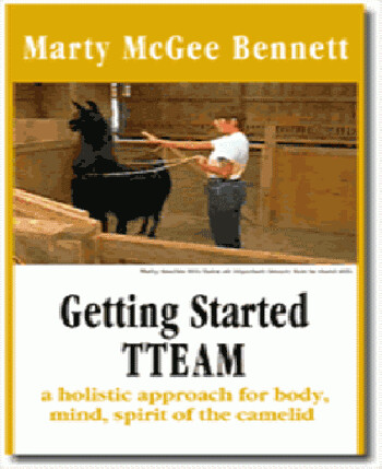 DVD: GETTING STARTED WITH TTEAM - ENGLISCH (2)