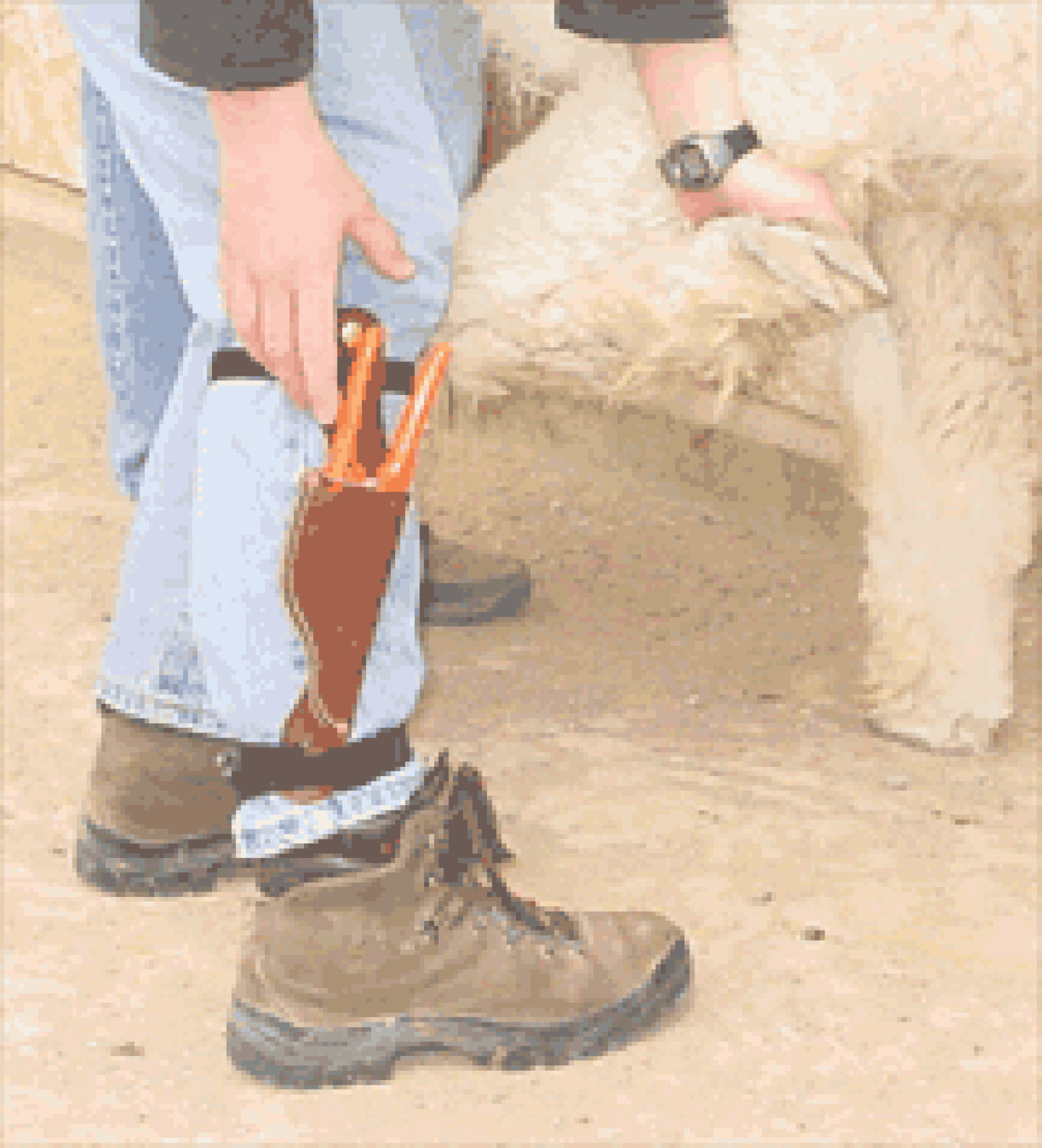 LEDERTASCHE FÜR DIE NAGELSCHERE EU B2B