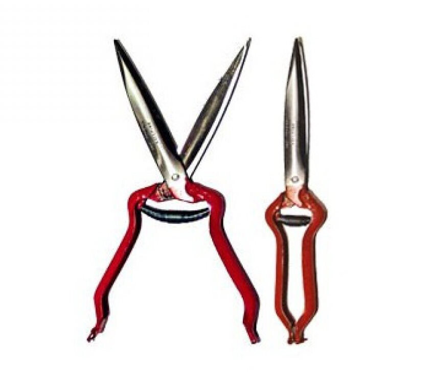 JAKOTI SCHURSCHERE MIT / OHNE LEDERTASCHE EU B2Bnur Schurschere